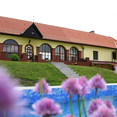 Villa Teleki 3* Teleki