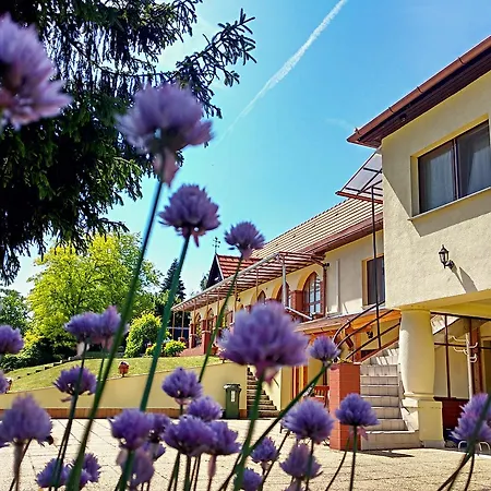 Gasthuis Villa Teleki 3*