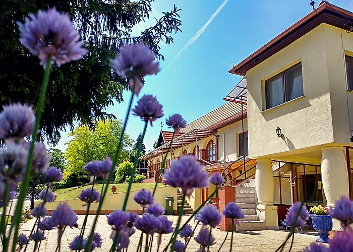 בית הארחה Villa Teleki 3*